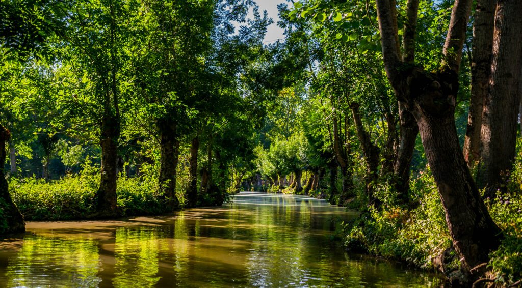 Le Marais Poitevin à Niort